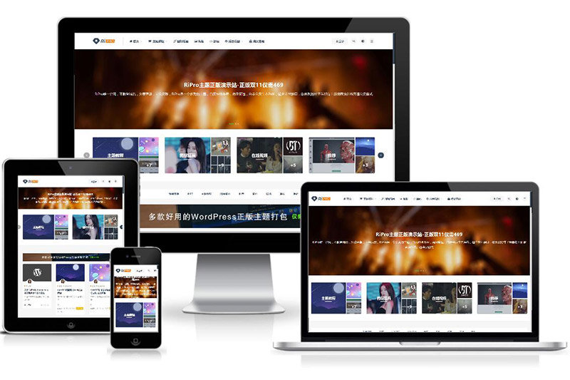 WP两款美化包+稀有插件+ripro9.0修正升级版插图