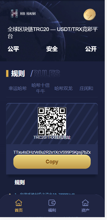 哈希竞猜源码四种玩法插图 哈希竞猜源码四种玩法插图