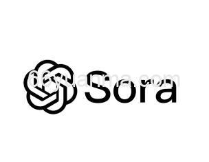 视频生成工具Sora常见原因与解决方法
