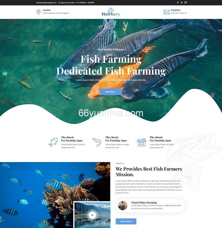 鱼类养殖技术服务公司网站HTML5模板源码插图 鱼类养殖技术服务公司网站HTML5模板源码插图
