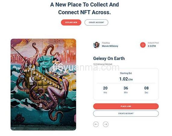 NFT数字作品交易市场网站模板源码插图
